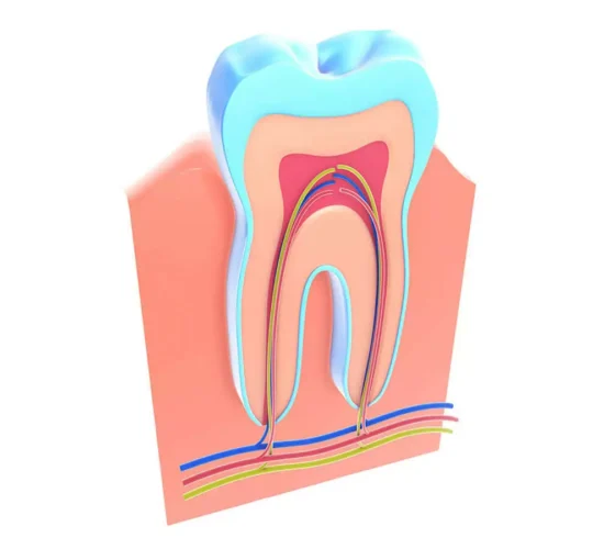 Root Canal Treatment